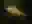 image loading...