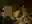 image loading...