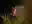 image loading...