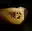 image loading...