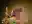 image loading...