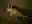 image loading...
