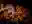 image loading...