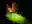 image loading...