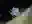 image loading...
