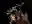 image loading...