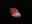 image loading...