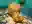 image loading...