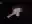 image loading...