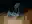 image loading...