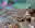 image loading...