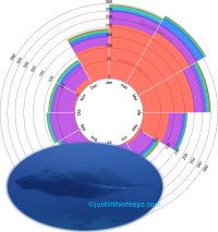 Hawaiian migrations (whale data) thumbnail