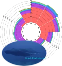Hawaiian migrations (whale data) thumbnail