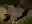 image loading...