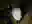 image loading...