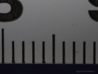 OM System 60mm macro & +12.5 close-up lens. The magnification benefit of beefing up the close-up lens here is surprisingly minor. But this AOI UCL-09PRO does show less chromatic aberration.