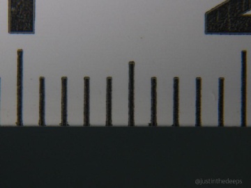 OM System 60mm macro & +6 close-up lens
