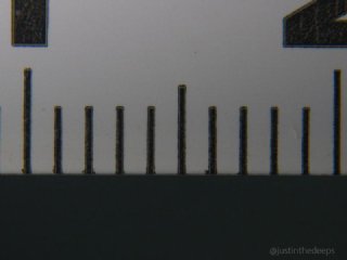 OM System 60mm macro & +6 close-up lens