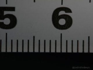 OM System 60mm macro lens