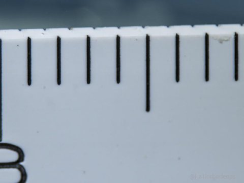 Header background