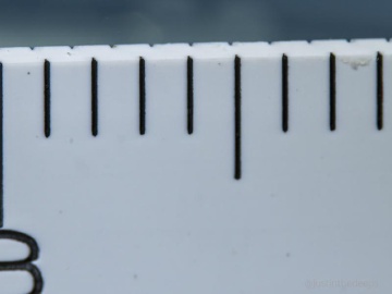 OM System 90mm macro (in water with flat port #36169)