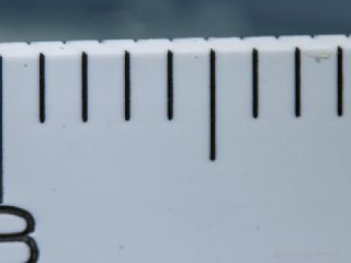 OM System 90mm macro (in water, with flat port #36169)