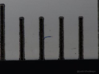 OM System 90mm macro & +12.5 close-up lens. The magnification gain is much less than the '+' numbers (dioptre factor) would imply from naive expectations due to the optical maths involved with macro lenses. But there is less chromatic aberration with the AOI UCL-09PRO.