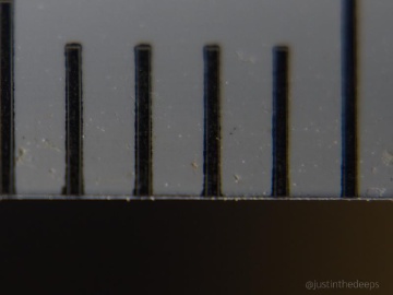 OM System 90mm macro & +6 close-up lens