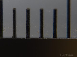 OM System 90mm macro & +6 close-up lens