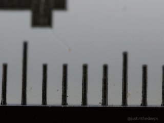 OM System 90mm macro lens