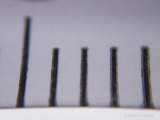 The TG-6 in fishbump mode. Unparalleled magnification, without need for wet-contact close-up lenses. But working distance is scarce here, and distortions at the periphery could be a concern for backgrounds that aren't black and featureless (i.e. snooted).