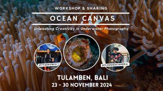 The Ocean Canvas Workshop
