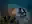 image loading...