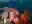 image loading...