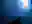 image loading...