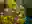 image loading...
