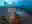 image loading...