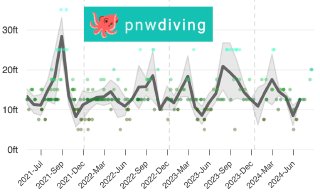 Visibility at Keystone Jetty ([pnwdiving.com](https://pnwdiving.com))